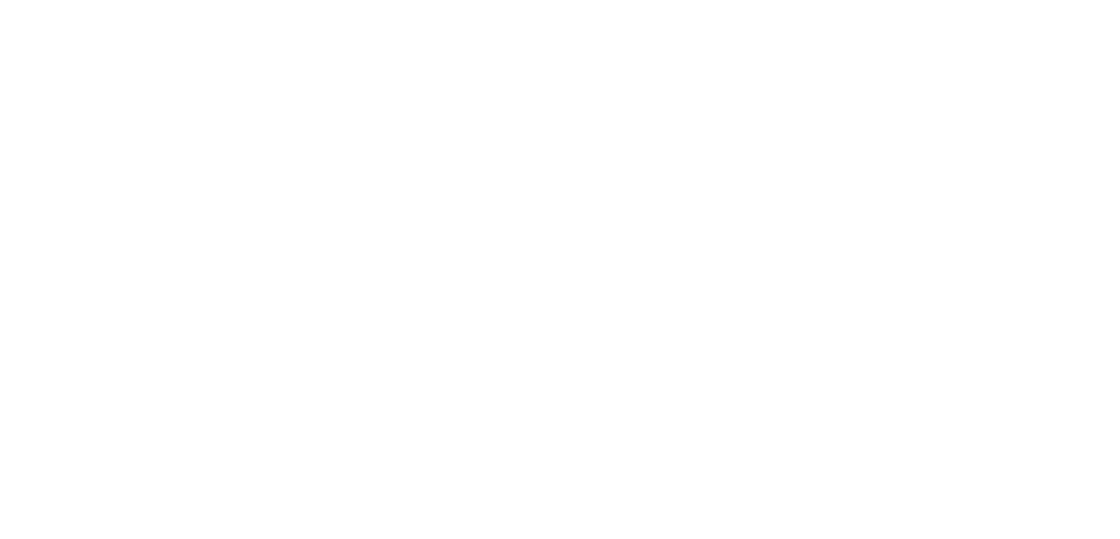 LOGO INOSPRAY